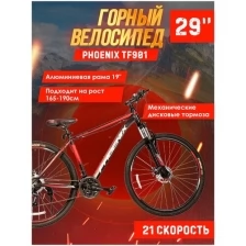 Велосипед горный Phoenix TF901 29", алюминиевая рама 19" (черно-красный)